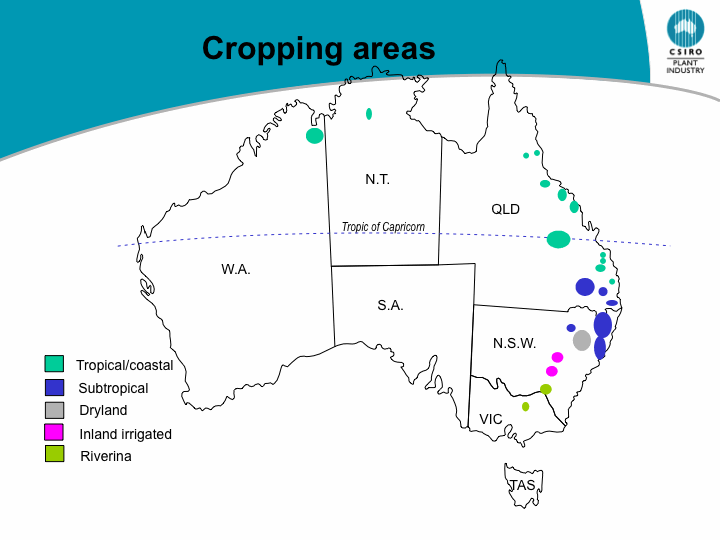 Map of Soybean Regions in Australia